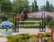 COATA S CHIKA CampITA2013- S5 1471 : CHIKA'S WAY, COATA SIMNONE, Campionati Italiani 2013, Cattolica, Horse Riviera Resort, foto di Stefano Secchi ©